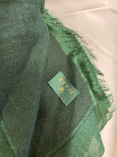 Load image into Gallery viewer, Brand new Rolex AD scarf green (2 available)